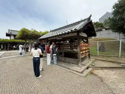 興福寺の{uncategorized: "未分類", other: "その他", undefined: "問題あり", building: "その他建物", grave: "お墓", sacred_gate: "鳥居", guardian: "狛犬", statue: "像", buddha: "仏像", history: "歴史", nature: "自然", garden: "庭園", animal: "動物", pagoda: "塔", temizu: "手水舎", mountain_gate: "山門・神門", sanctuary: "本殿・本堂", subordinate: "末社・摂社", art: "芸術", scenery: "景色", jizo: "地蔵", ema: "絵馬", goshuin: "御朱印", omikuji: "おみくじ", items: "授与品その他", amulet: "お守り", goshuincho: "御朱印帳", eats: "食事", festival: "お祭り", votive_dance: "神楽", shichigosan: "七五三参", wedding: "結婚式", experience: "体験その他", initially: "初詣", around: "周辺", anti_infection: "感染症対策"}