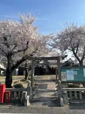 了性寺の{uncategorized: "未分類", other: "その他", undefined: "問題あり", building: "その他建物", grave: "お墓", sacred_gate: "鳥居", guardian: "狛犬", statue: "像", buddha: "仏像", history: "歴史", nature: "自然", garden: "庭園", animal: "動物", pagoda: "塔", temizu: "手水舎", mountain_gate: "山門・神門", sanctuary: "本殿・本堂", subordinate: "末社・摂社", art: "芸術", scenery: "景色", jizo: "地蔵", ema: "絵馬", goshuin: "御朱印", omikuji: "おみくじ", items: "授与品その他", amulet: "お守り", goshuincho: "御朱印帳", eats: "食事", festival: "お祭り", votive_dance: "神楽", shichigosan: "七五三参", wedding: "結婚式", experience: "体験その他", initially: "初詣", around: "周辺", anti_infection: "感染症対策"}