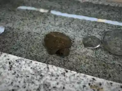 亀有香取神社(東京都)