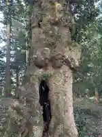 笠間神社(福井県)