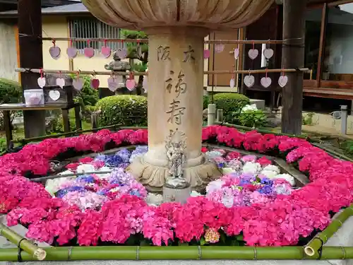 三室戸寺(京都府)