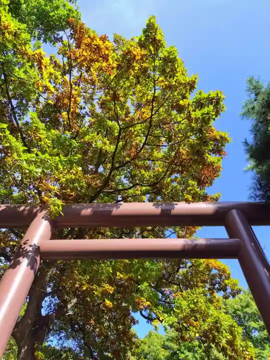 厚別神社(北海道)