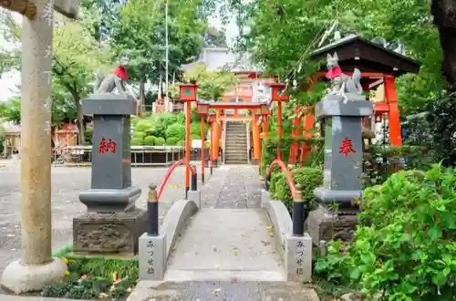 塚越稲荷神社の狛犬