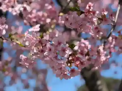 普門院の{uncategorized: "未分類", other: "その他", undefined: "問題あり", building: "その他建物", grave: "お墓", sacred_gate: "鳥居", guardian: "狛犬", statue: "像", buddha: "仏像", history: "歴史", nature: "自然", garden: "庭園", animal: "動物", pagoda: "塔", temizu: "手水舎", mountain_gate: "山門・神門", sanctuary: "本殿・本堂", subordinate: "末社・摂社", art: "芸術", scenery: "景色", jizo: "地蔵", ema: "絵馬", goshuin: "御朱印", omikuji: "おみくじ", items: "授与品その他", amulet: "お守り", goshuincho: "御朱印帳", eats: "食事", festival: "お祭り", votive_dance: "神楽", shichigosan: "七五三参", wedding: "結婚式", experience: "体験その他", initially: "初詣", around: "周辺", anti_infection: "感染症対策"}