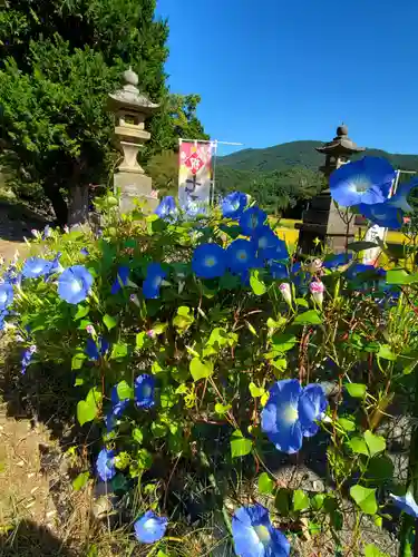 高司神社〜むすびの神の鎮まる社〜のその他建物