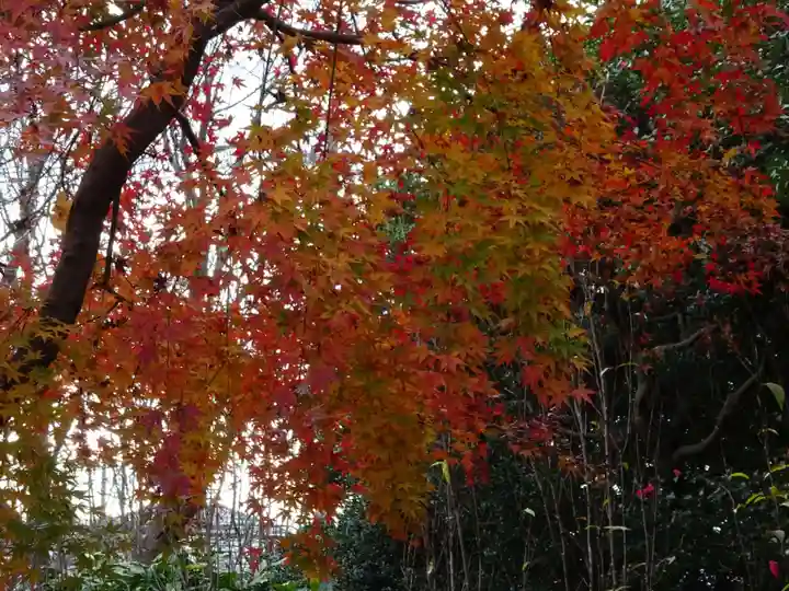 常泉寺(神奈川県)