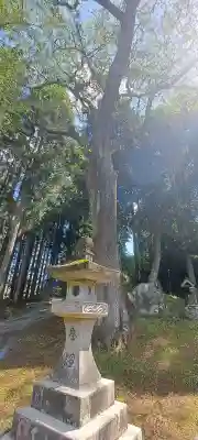 熊野神社の{uncategorized: "未分類", other: "その他", undefined: "問題あり", building: "その他建物", grave: "お墓", sacred_gate: "鳥居", guardian: "狛犬", statue: "像", buddha: "仏像", history: "歴史", nature: "自然", garden: "庭園", animal: "動物", pagoda: "塔", temizu: "手水舎", mountain_gate: "山門・神門", sanctuary: "本殿・本堂", subordinate: "末社・摂社", art: "芸術", scenery: "景色", jizo: "地蔵", ema: "絵馬", goshuin: "御朱印", omikuji: "おみくじ", items: "授与品その他", amulet: "お守り", goshuincho: "御朱印帳", eats: "食事", festival: "お祭り", votive_dance: "神楽", shichigosan: "七五三参", wedding: "結婚式", experience: "体験その他", initially: "初詣", around: "周辺", anti_infection: "感染症対策"}