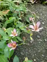 稲荷神社(東京都)