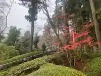 今熊野観音寺(京都府)