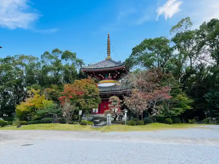 温泉山 安楽寺(四国霊場第六番札所)のその他建物