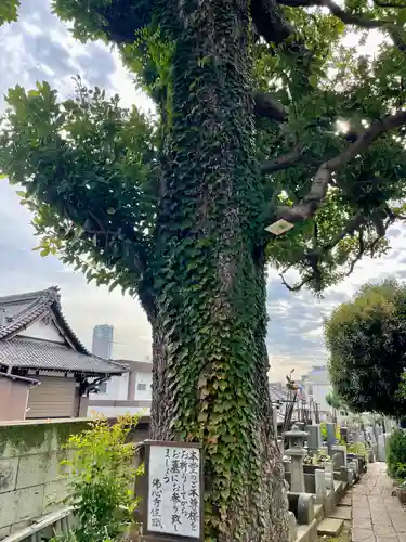 佛心寺(東京都)