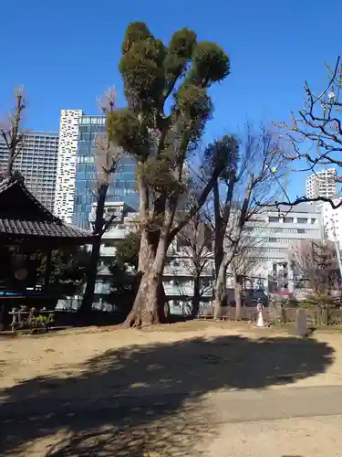 西向天神社(東京都)