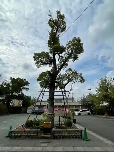溝口神社の自然