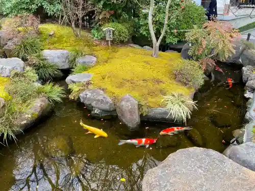 長谷寺の庭園