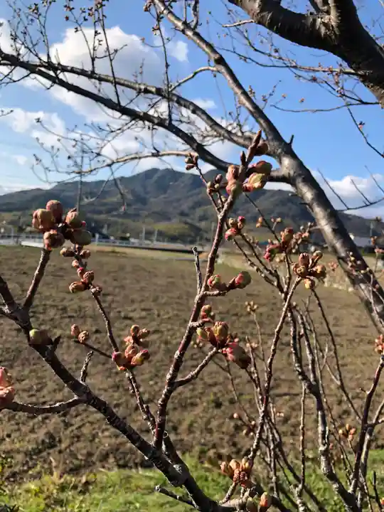 春日神社の自然