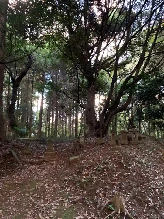 駒形大神(千葉県)