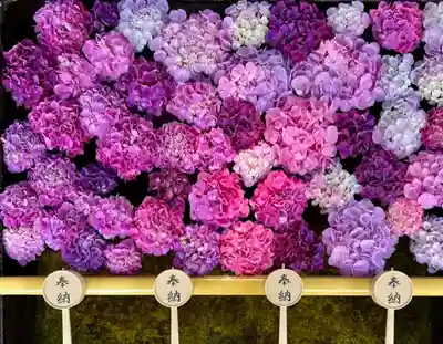 土津神社|こどもと出世の神さまの手水舎