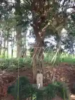 鷲宮神社の末社・摂社