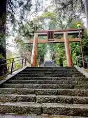 伊豆山神社(静岡県)