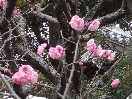 薬師院(神奈川県)