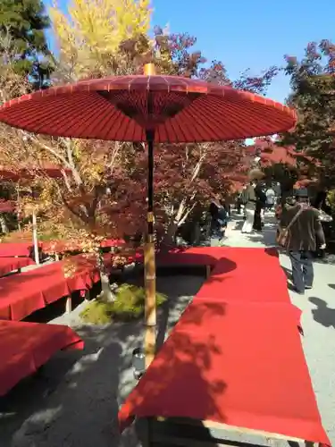 禅林寺（永観堂）(京都府)
