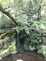 慈照寺（慈照禅寺・銀閣寺）の庭園