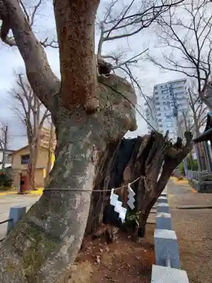 阿邪訶根神社(福島県)