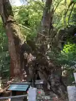 葛見神社(静岡県)