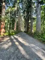 戸隠神社九頭龍社(長野県)