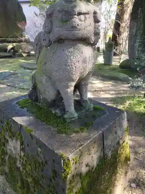新川神社の狛犬