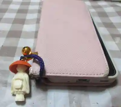 西新井大師総持寺(東京都)