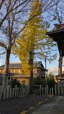 玉田神社(京都府)