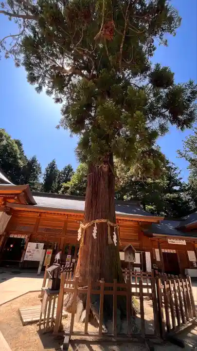 穂高神社本宮(長野県)