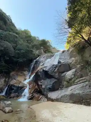 大頭神社の{uncategorized: "未分類", other: "その他", undefined: "問題あり", building: "その他建物", grave: "お墓", sacred_gate: "鳥居", guardian: "狛犬", statue: "像", buddha: "仏像", history: "歴史", nature: "自然", garden: "庭園", animal: "動物", pagoda: "塔", temizu: "手水舎", mountain_gate: "山門・神門", sanctuary: "本殿・本堂", subordinate: "末社・摂社", art: "芸術", scenery: "景色", jizo: "地蔵", ema: "絵馬", goshuin: "御朱印", omikuji: "おみくじ", items: "授与品その他", amulet: "お守り", goshuincho: "御朱印帳", eats: "食事", festival: "お祭り", votive_dance: "神楽", shichigosan: "七五三参", wedding: "結婚式", experience: "体験その他", initially: "初詣", around: "周辺", anti_infection: "感染症対策"}