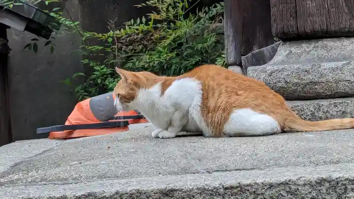 行願寺(革堂)(京都府)