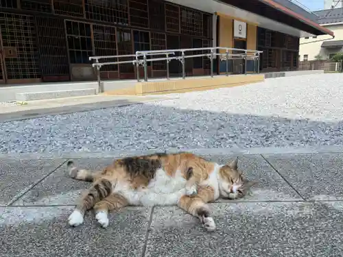 秩父札所十三番 慈眼寺(埼玉県)