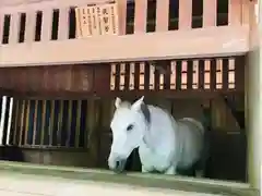 伊勢神宮外宮（豊受大神宮）の動物