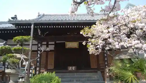 圓通寺の本殿・本堂