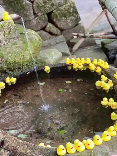 石上神宮の手水舎