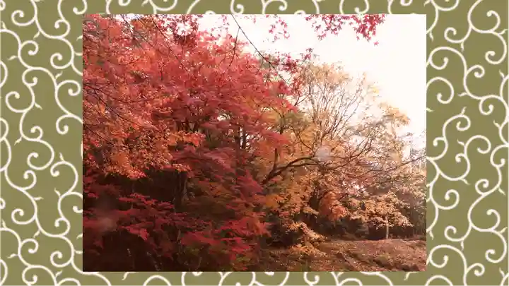 水澤寺(水澤観世音)(群馬県)