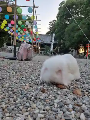大御和神社(徳島県)