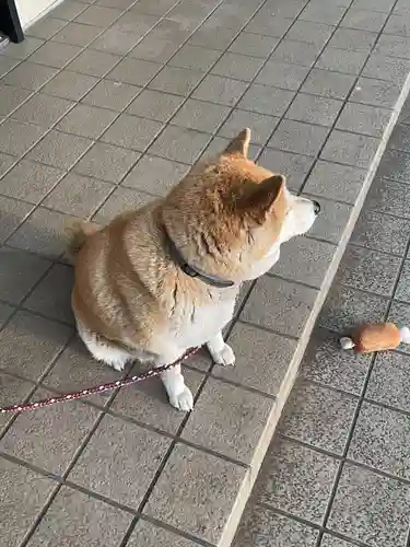 笠䅣稲荷神社(神奈川県)