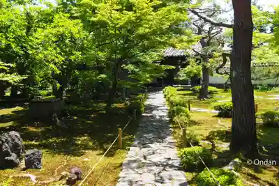 鹿王院(京都府)