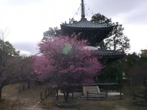 清凉寺のその他建物
