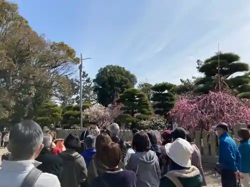 曽根天満宮の神楽