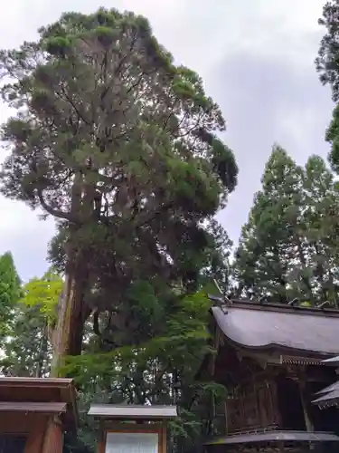 草部吉見神社(熊本県)