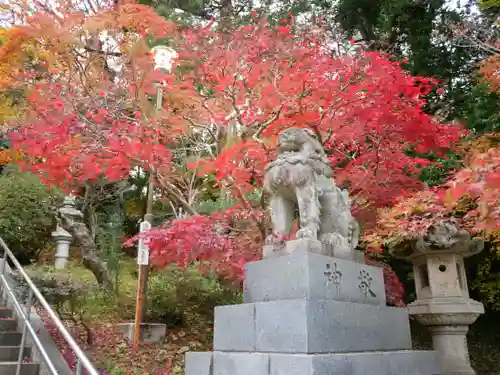 香取神宮の狛犬