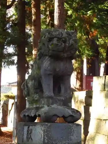 大井俣窪八幡神社の狛犬