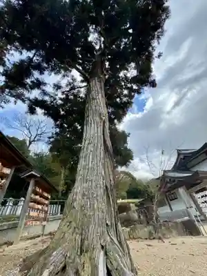 日岡神社(兵庫県)