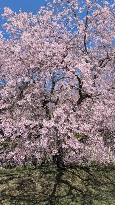 泰門庵(滋賀県)